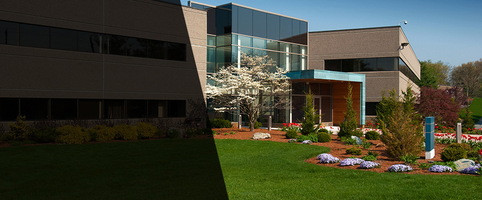Waverly Landscapers
